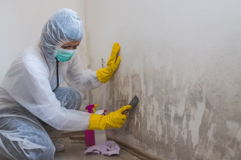 Air Duct Mold Removal in Dallas, TX