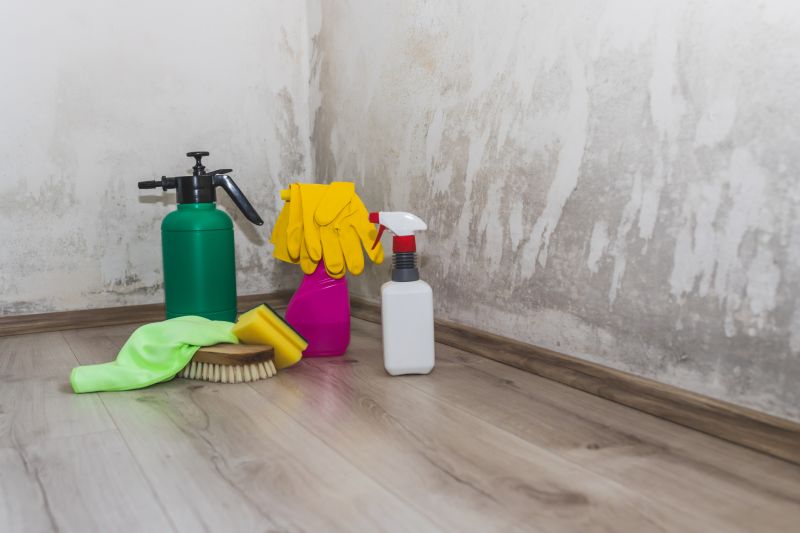 Basement Mold Removal in Frisco, TX