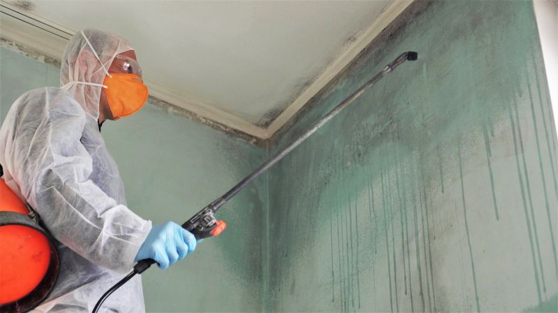 Black Mold Remediation in Frisco, TX