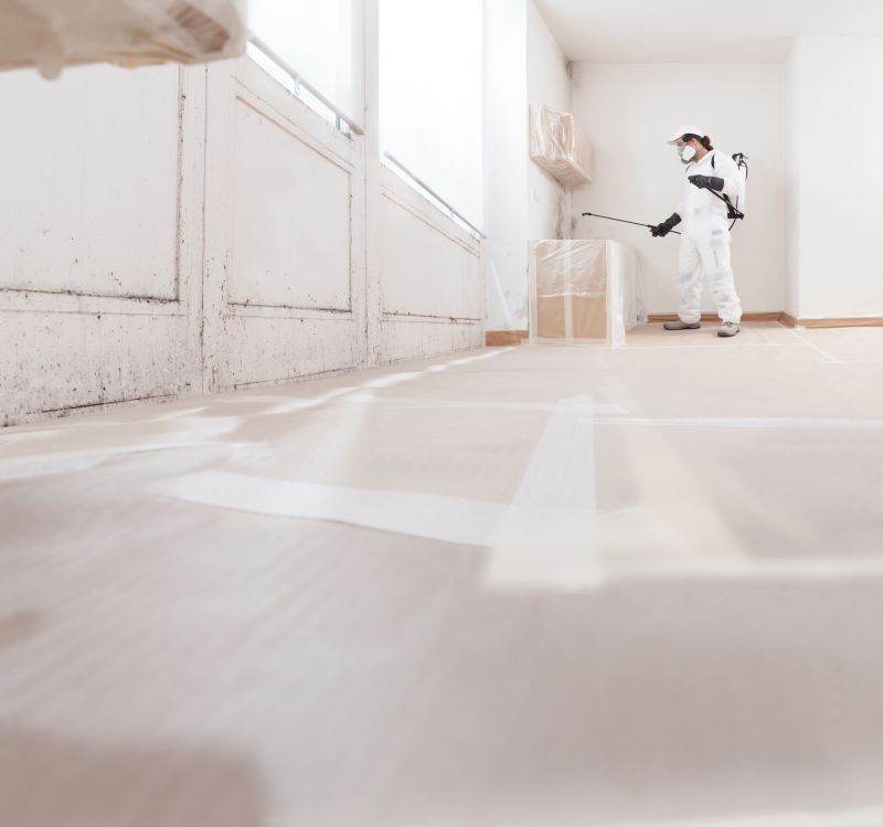Black Mold Remediation in Boca Raton, FL