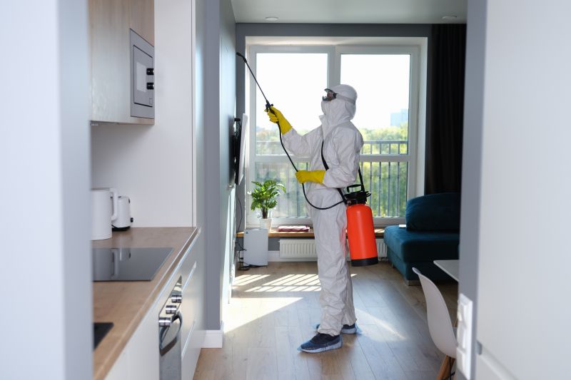 Crawl Space Mold Removal in West Palm Beach, FL