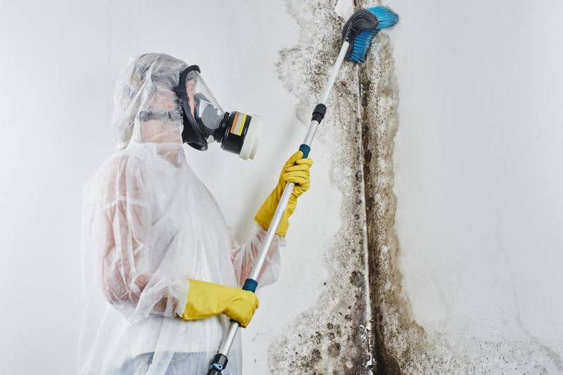 Crawl Space Mold Removal in Boca Raton, FL