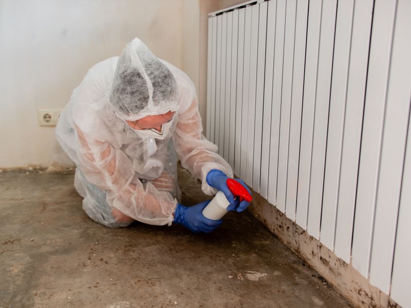 Garage Mold Remediation in Boca Raton, FL