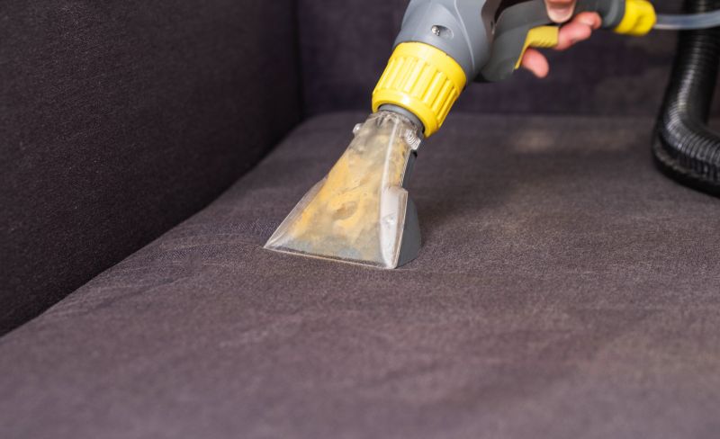 Professional Upholstery Cleaning