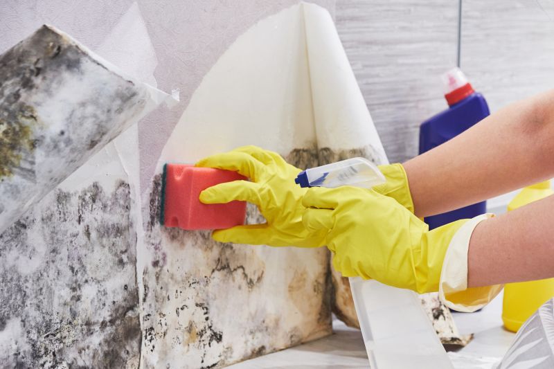 Mold Abatement Service in West Palm Beach, FL