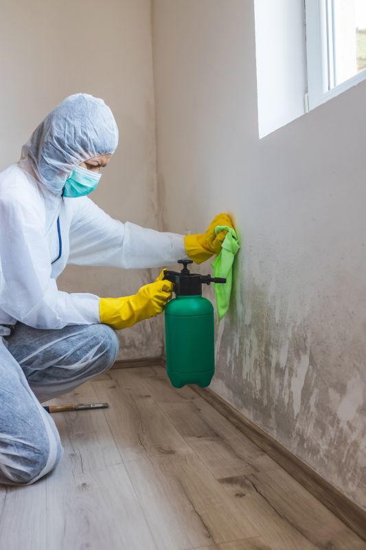 Mold Cleanup Service in Fort Lauderdale, FL