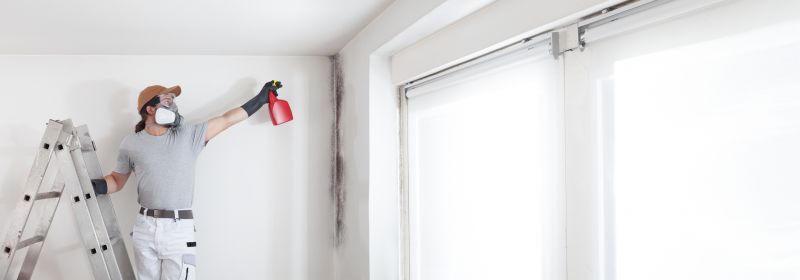 Mold Remediation Service in Broward County, FL