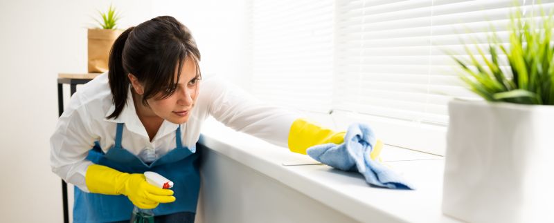 Move Out Cleaning Service