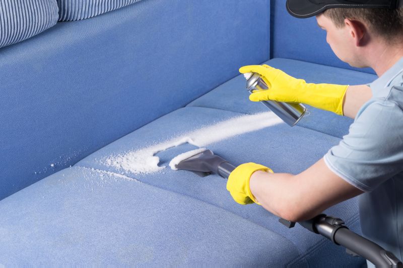 Upholstery And Furniture Cleaning For Allergy-Friendly Homes