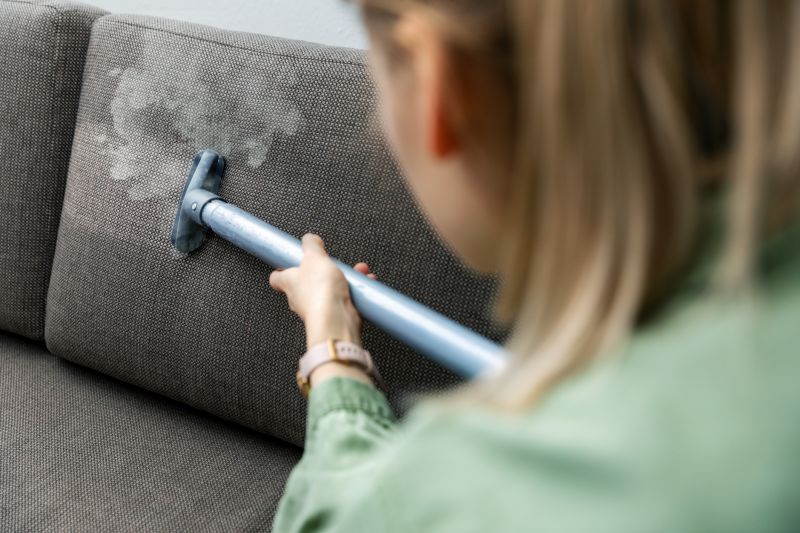 Upholstery Cleaning
