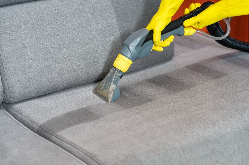 Upholstery Cleaning