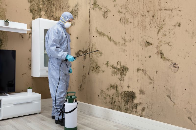 Mold Abatement in Dallas, TX
