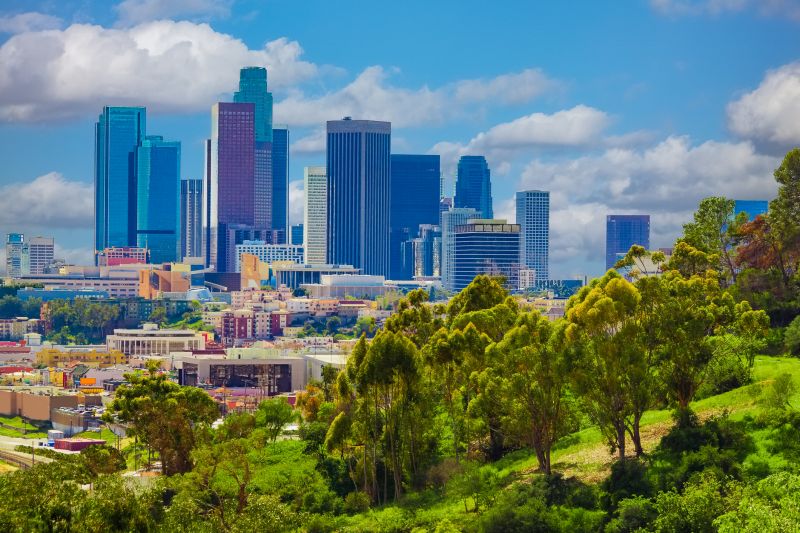 Upholstery Cleaning: Los Angeles